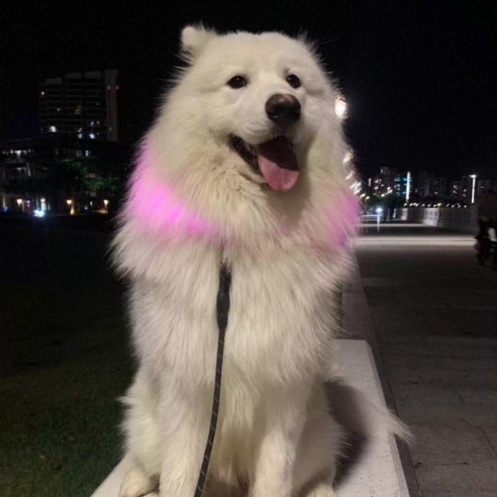 Adjustable Size LED Dog Collar Fiber Optic Material Multi-Color Light USB Rechargeable Collar Bright LED PVC Material