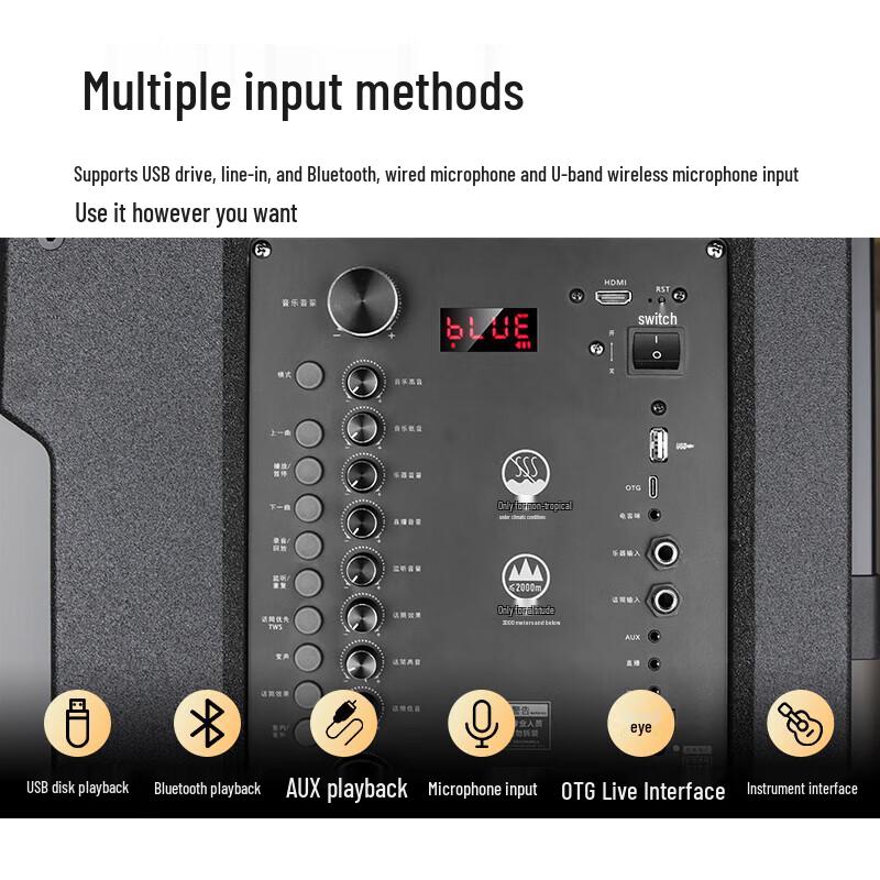 Philips SD190 12-inch Portable Bluetooth Trolley Speaker with Dual Microphones