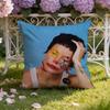 Singer H-Halsey Cushion Cover Home & Car Dual-Scene Pillow Cover: Reversible for Premium Comfort