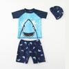 Boys' Two-Piece Korean Swimsuit Set 
