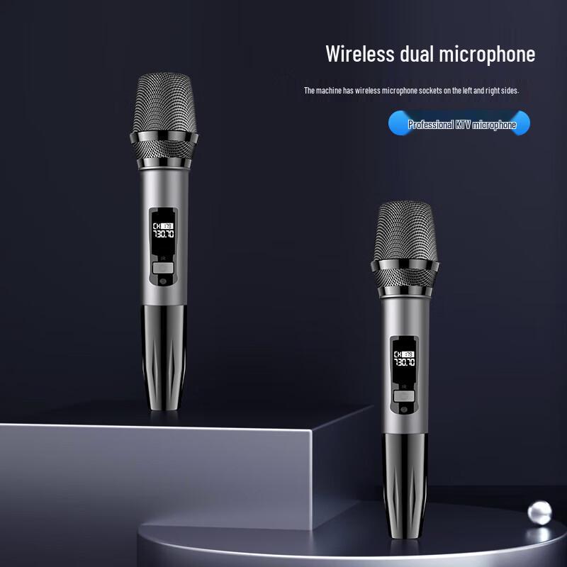 Soai 620X Home KTV Karaoke Speaker System