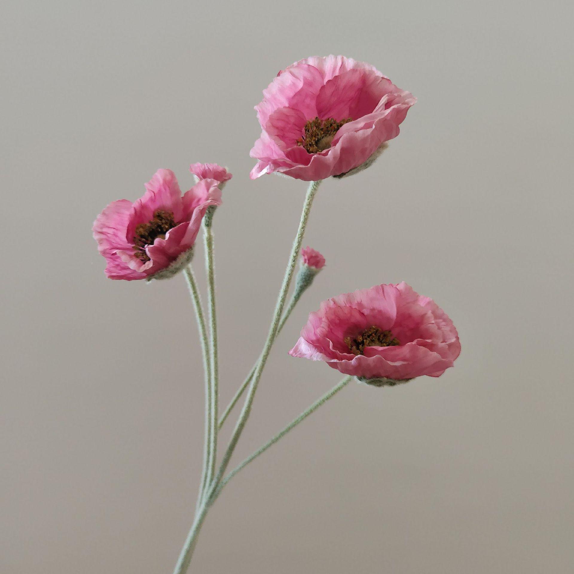 Qualitäts-Seidenmohn Eisberg Künstliche Blume - Beflockter Kornmohn Simulation mit Ölgemälde Design