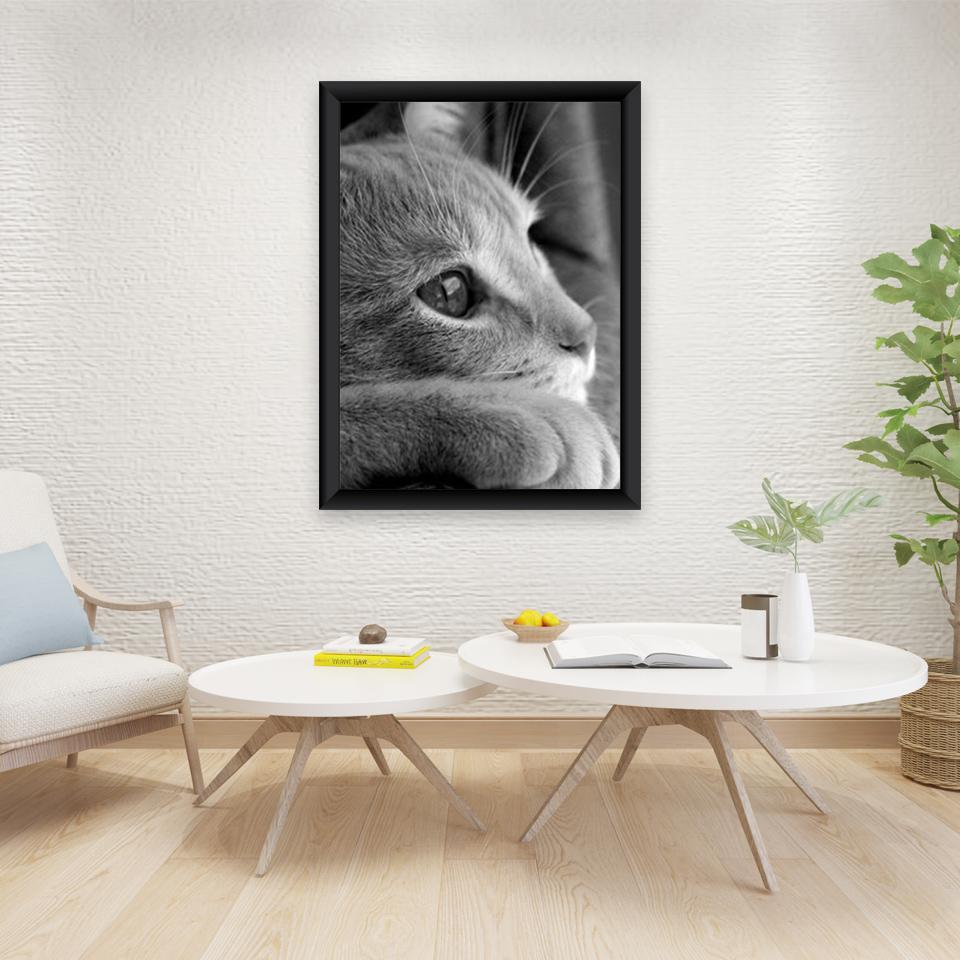 DIY Cat 5D Diamond Painting Full Round Drill Rhinestones Animals Diamond Embroidery Cross Stitch Mosaic Hobby Gift Home Decor