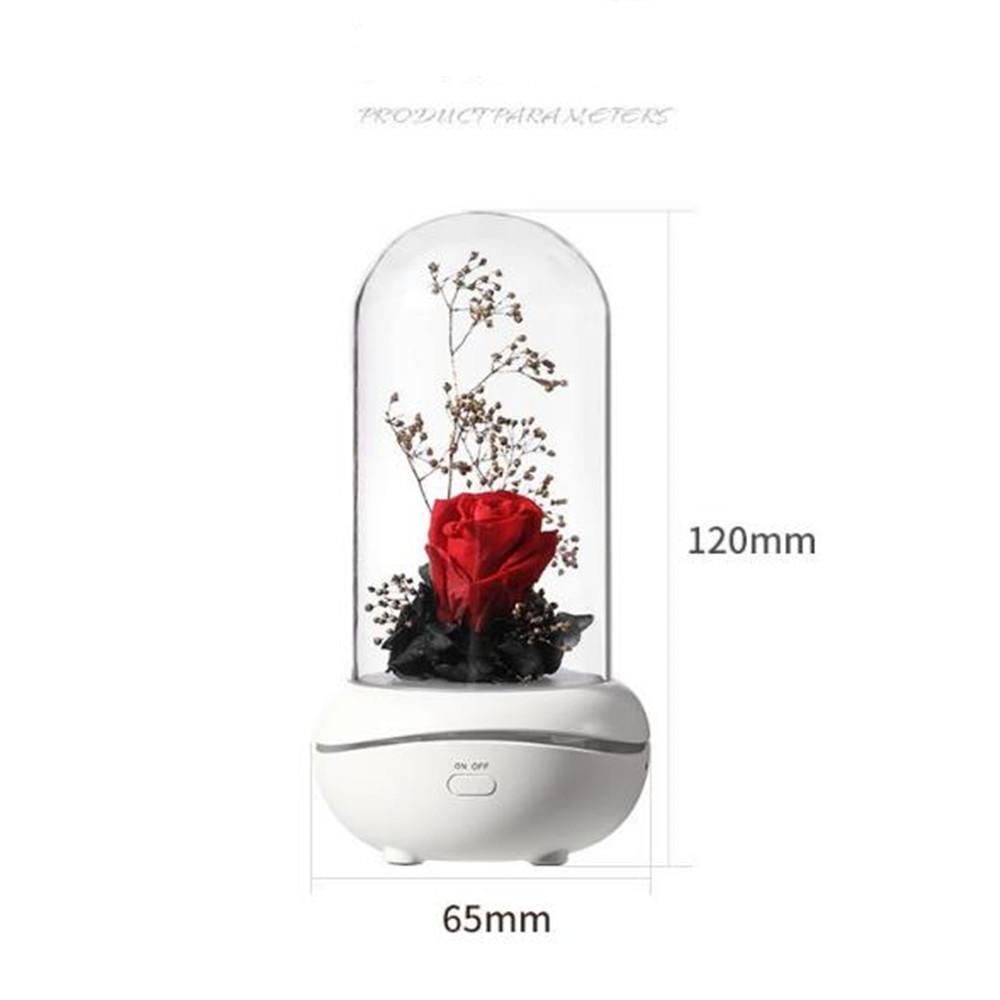 USB Rechargeable Eternal Flower Fragrance Night Light Mute Lava Lamp Mini Essential Oil Desk Lamp Holiday Gift Bedroom Décor