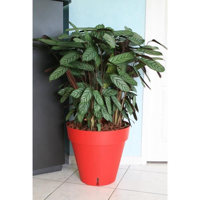 Flower Pot - RIVIERA - Loft with Water Reservoir - Round - Ø 49 X H 45 Cm - 50L - Red