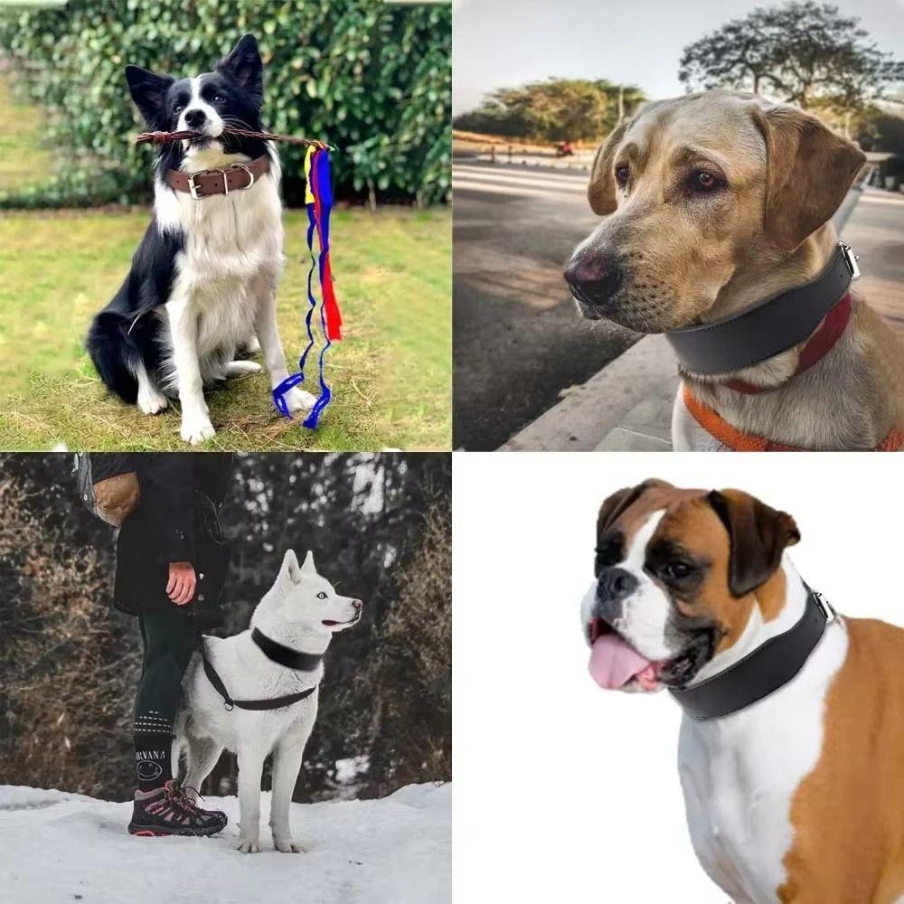 5cm Width Pet Neck Straps L-3XL Fish Shape Collar Comfortable Dog Collars  Pet Supplies