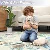 Non-Slip Indoor Door Mat Soft Small Kitchen Rug Butterfly Entryway Rug  for Bathroom Bedroom