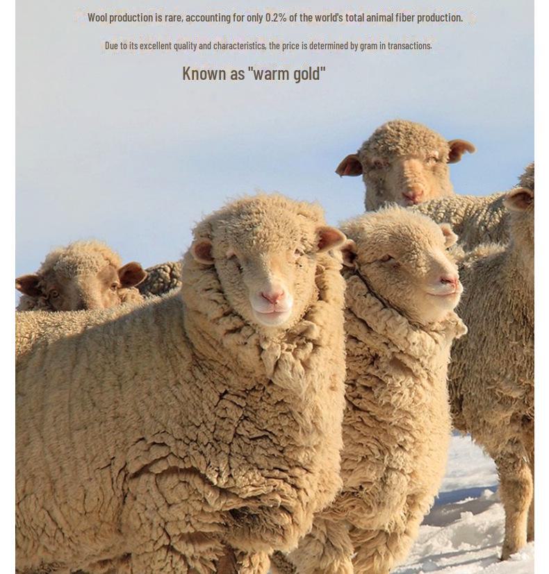 Men's Wool Lyocell Round Neck Sweater - 2024 Autumn/Winter Collection, Long Sleeve High-End Knitted Solid Warm Layer.