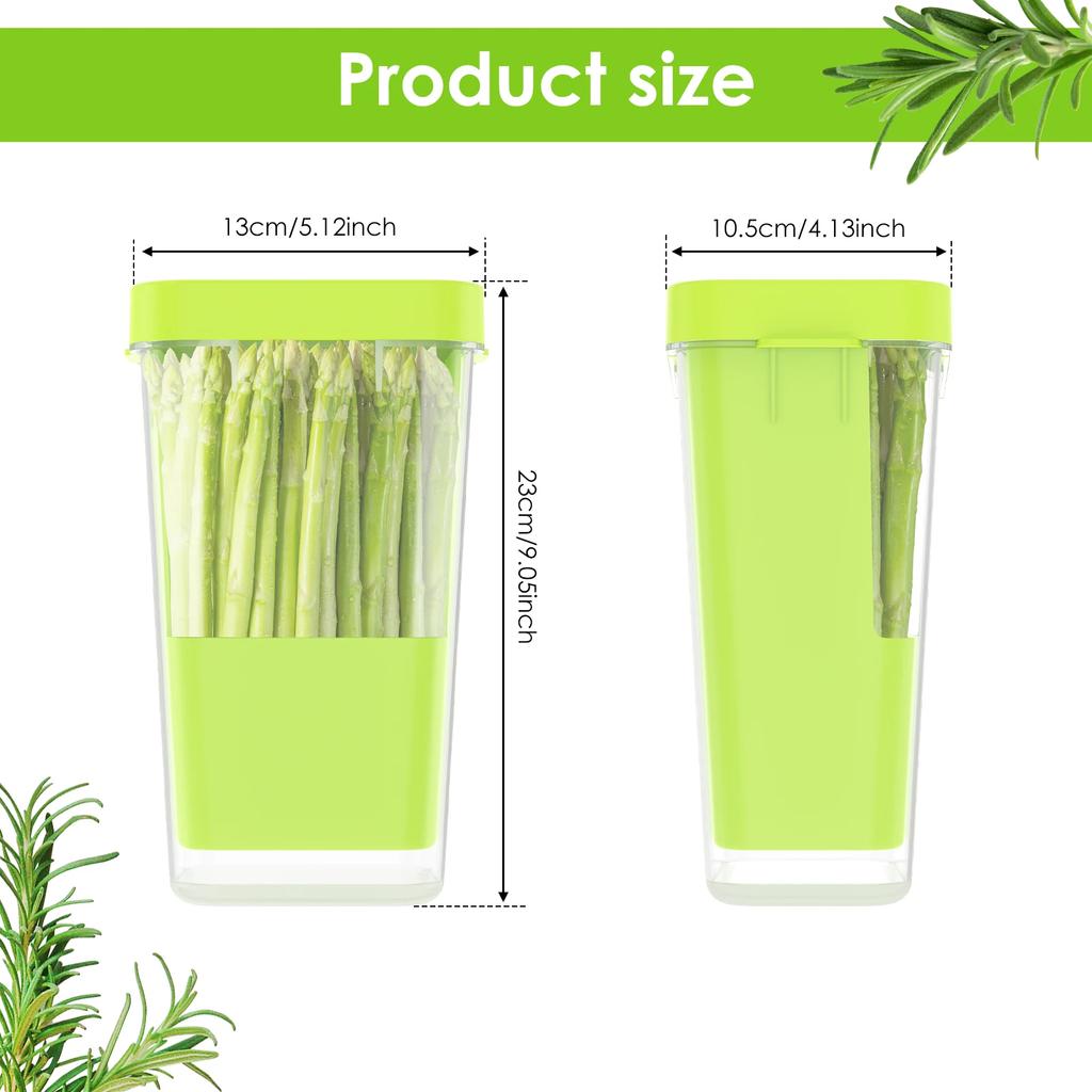 Herb Keeper for Refrigerator Clear Plastic Herb Saver Asparagus Container Multipurpose Vegetable Keeper for Mint Parsley Thyme