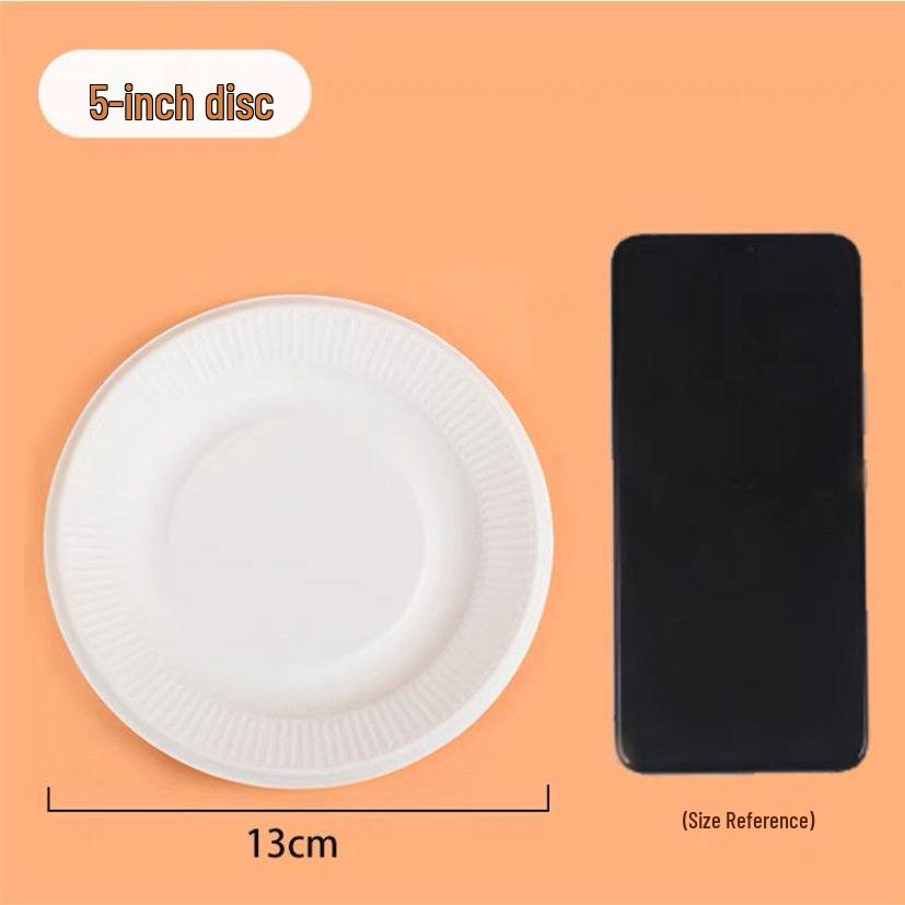 Hand-Painted DIY White Paper Plates for Kindergarten Arts & Crafts