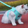 Breathable Pet Chest Vest Comfortable Cat Chest Strap Creative Dog Harness Leash Kitten