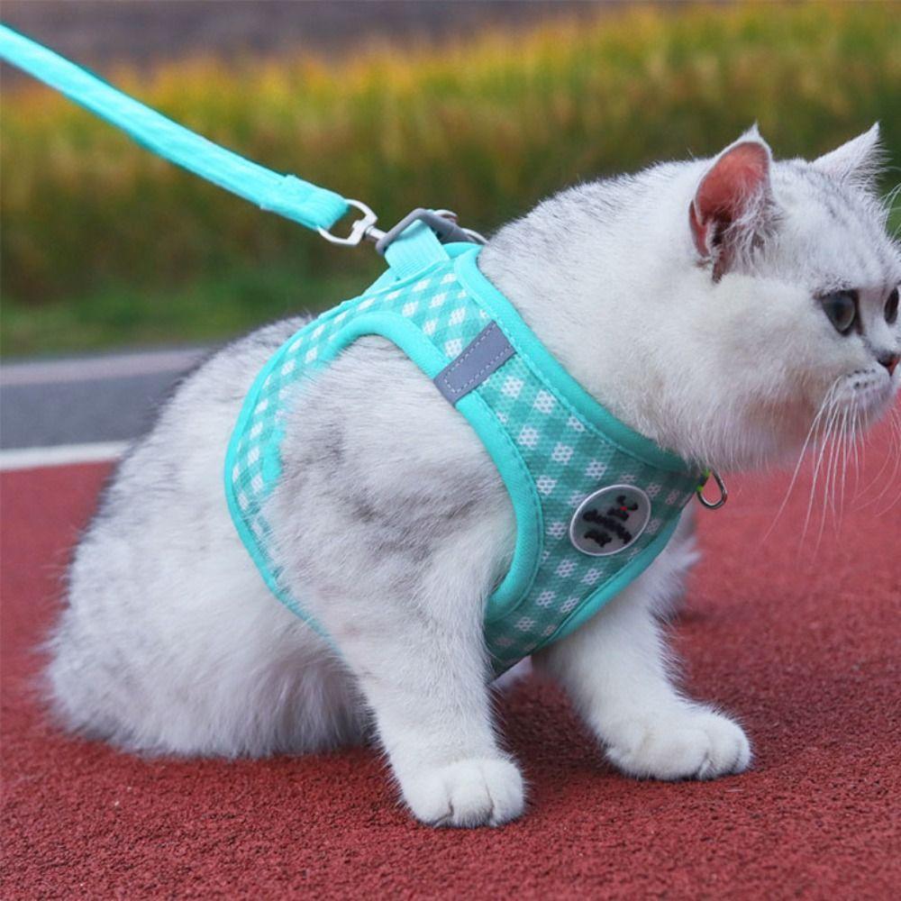 Breathable Pet Chest  Vest Comfortable Cat Chest Strap Creative Dog Harness Leash  Kitten