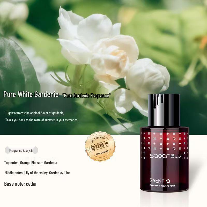 Naturalny Długotrwały Odświeżacz Powietrza do Samochodu: Odświeżająca ozdoba do wnętrza samochodu