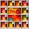 Chinese Paper Lamp Ball Handmade Mid Autumn Festive Lanterns Multicolor Round Paper Lanterns  Gift