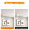 Waterproof LED Surface-Mounted Ceiling Spotlight for Indoor & Outdoor Use