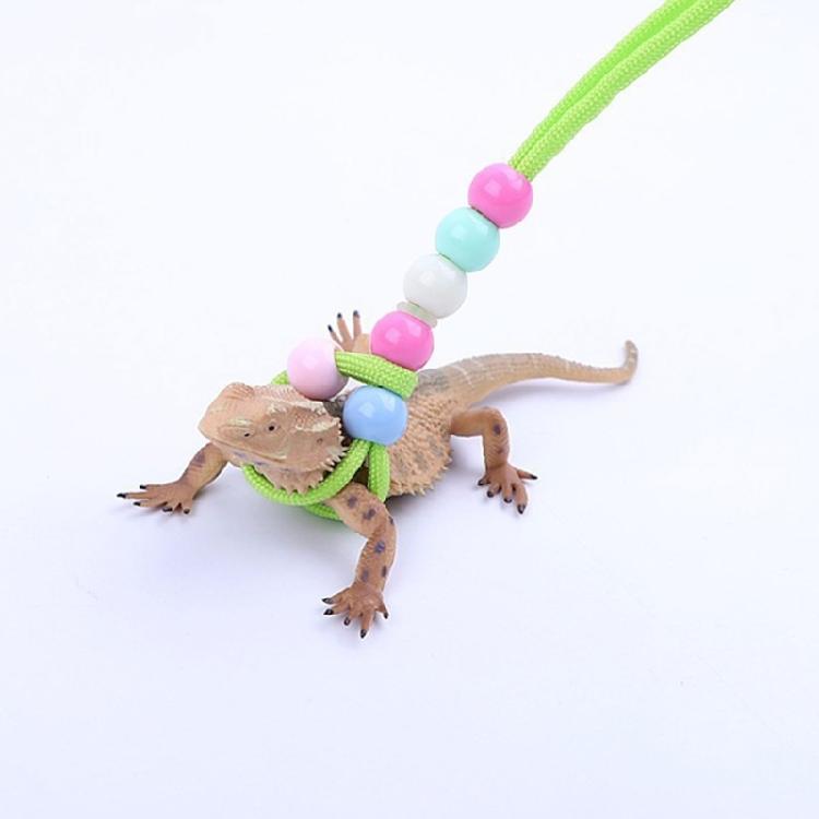 150cm Reptiles Leash with Adjustable Buckle Flexible Reptiles Traction Rope