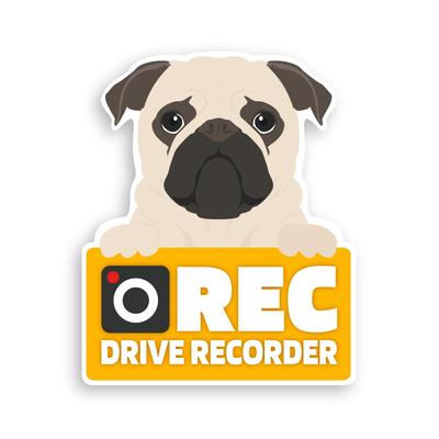 Takasu Shoten Dash Cam Magnet Car Sign Sticker Sticker Car Rear Warning Recording Dog Cat (Pug)