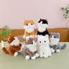 Adorable Kitten Plush Toy - Perfect Companion Gift for Kids