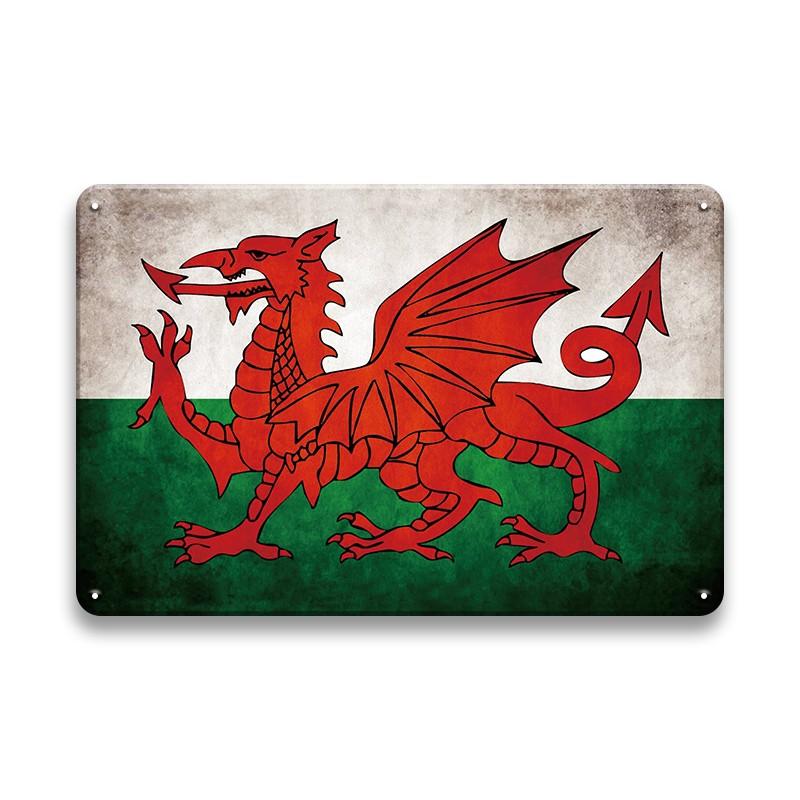 INEED Decor Land Vlag Vintage Posters Plaquette Metalen Bord Muur Kunst Decoratie Tin Bord Bar Pub Woonkamer Thuis Ijzer schilderen