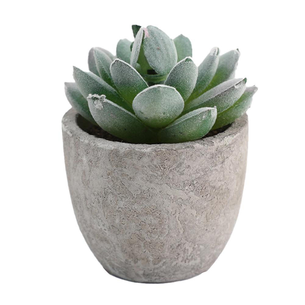Desktop Ornament Indoor Greenery Desktop Arrangement Stylish Home D cor Versatile Design High Quality Materials