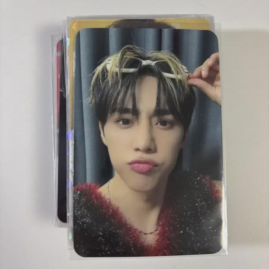 

Theboyz Foca Bulk Sale