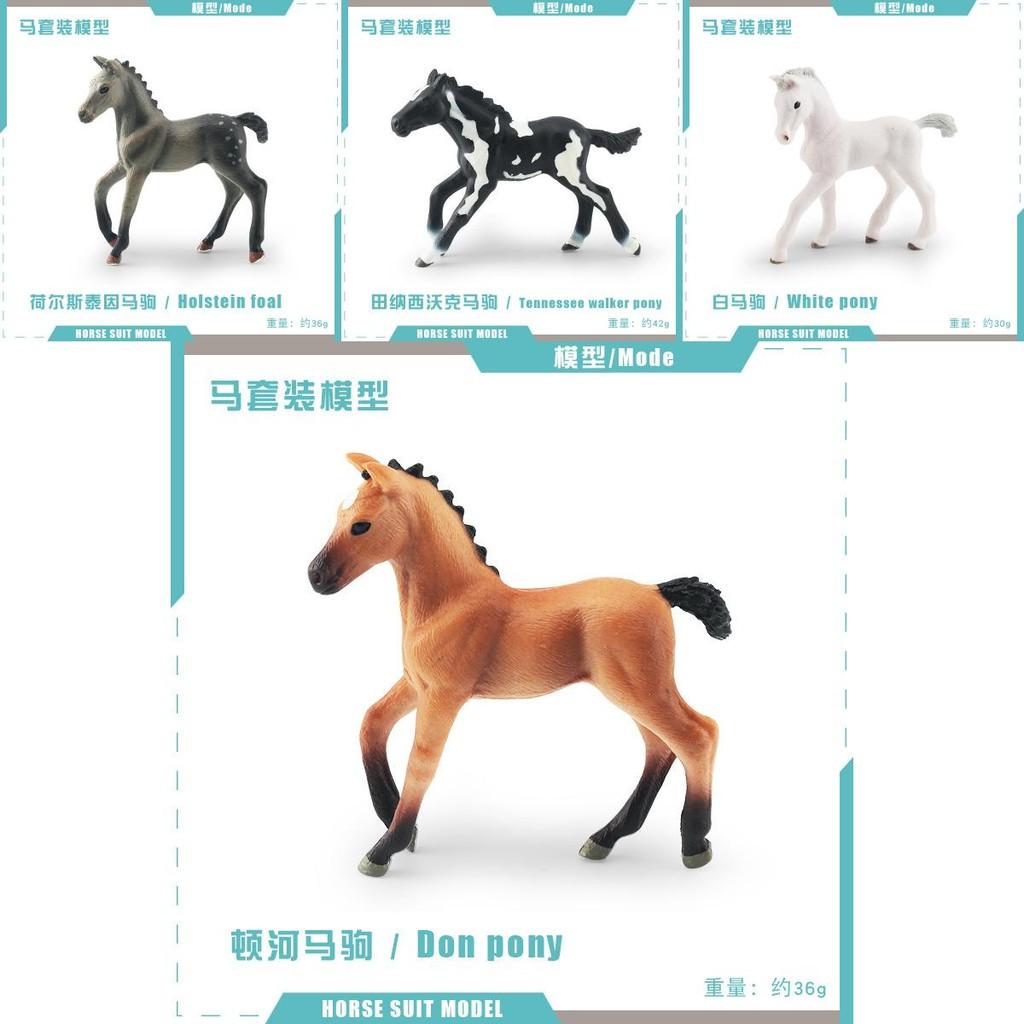 Realistic Pvc Belgian Foal Model Toy Beautifully Crafted Purebred Horse Figurine
