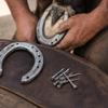 Nails for Hoof Pack Nails for Race Horse Training