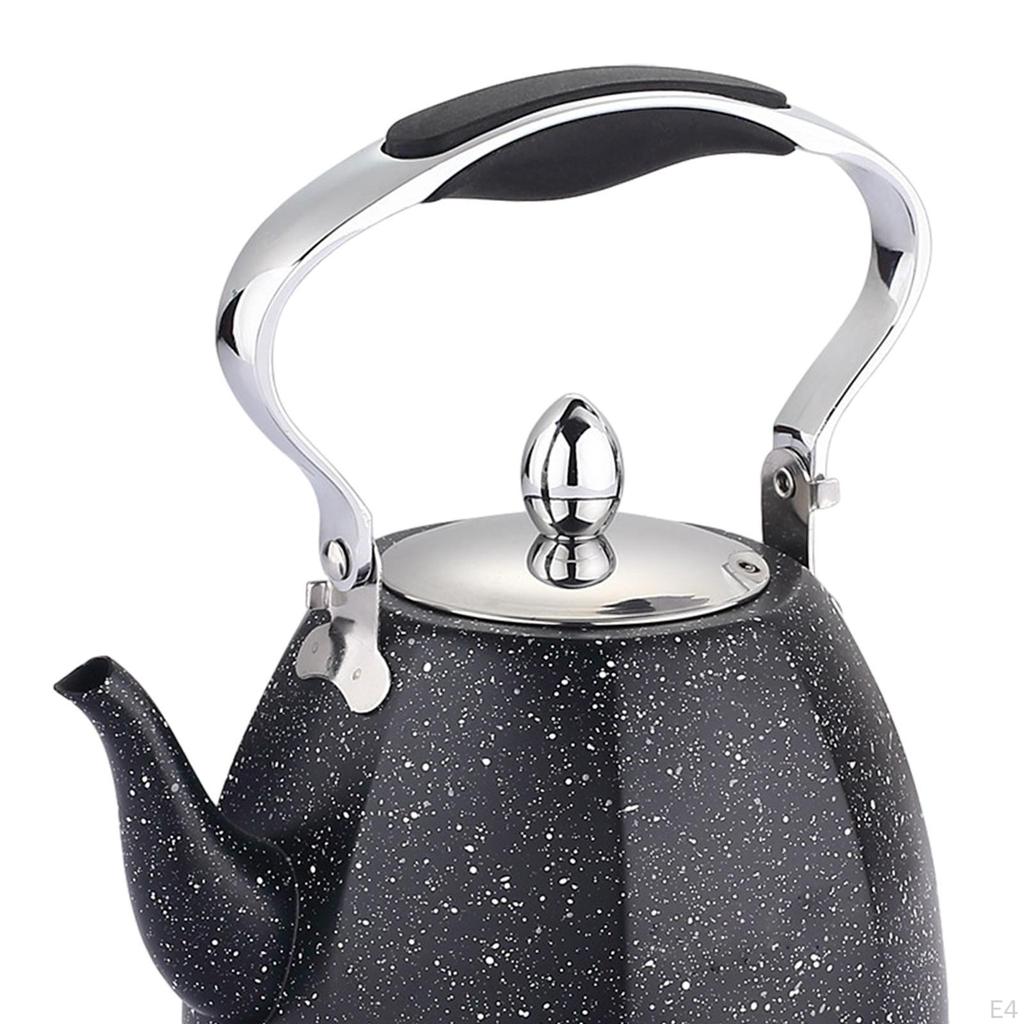 1L Capacity Teapot Loose Leaf Boiling Water Kettle for Kitchen Home