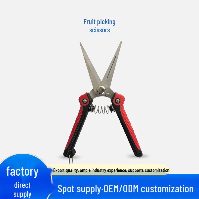 Stainless Steel Pointed Pruning Scissors for Fruit Trees and Vegetables