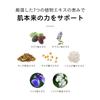 Lips Boy Medicated Moisture Milk 150ml Pump type Emulsion Moisturizing Dryness Shine Skincare Pore care Acne care LIPPS BOY [Quasi-drug] Men's