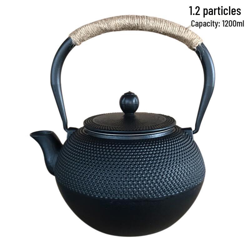 Cast Iron Teapot