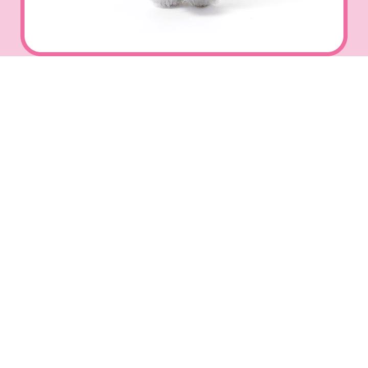 ILLIT [2° Anniversario del Debut : [DEARLIT] Portachiavi Peluche MD Ufficiale