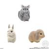 Bandai Friends 2 Candy Gum MofumofuTenori -Small Animals- (12 Pieces) Toys/Chewing (Tenori Friends)