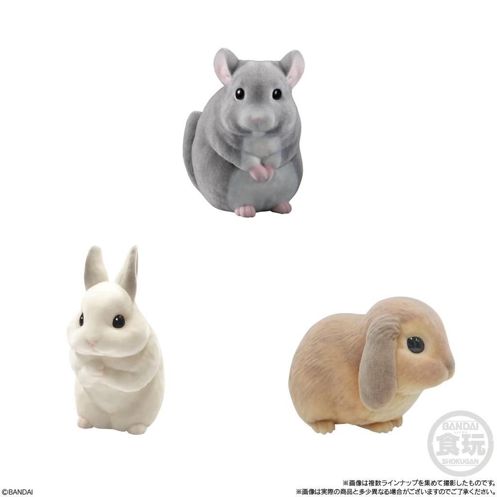 Bandai Friends 2 Candy Gum MofumofuTenori -Small Animals- (12 Pieces) Toys/Chewing (Tenori Friends)