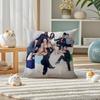 The RRookie L A Pillow Case Silky elegant Comfort Sofa Bed Invisible zipper