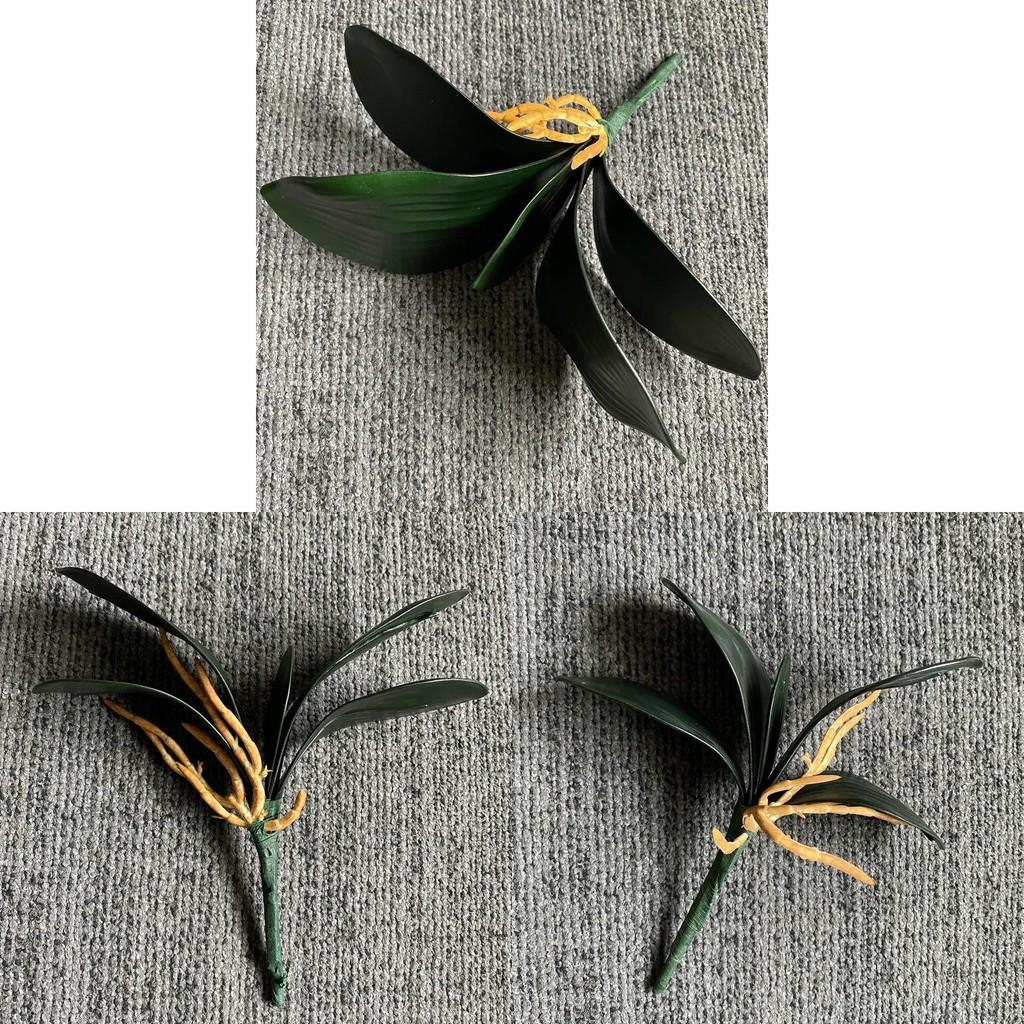 Artificial Eva Phalaenopsis Orchid Leaf For Flower Arrangement And Decor