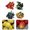 Fake Artificial Fruit Fruits Kitchen Photography Props