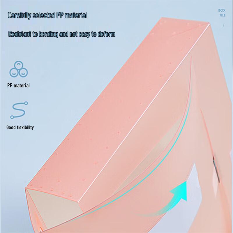 Deli A4 Plastic File and Document Storage Box