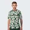 Nike Nigeria Team Soccer Quick-Dry Casual Short Sleeve T-Shirt CT4244-100