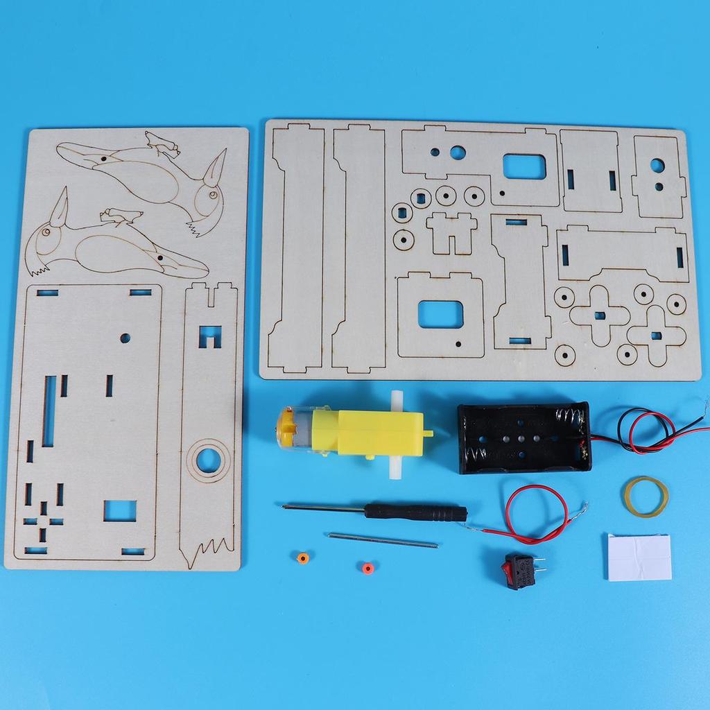 Electric Woodpecker DIY Science Experiment Kit for Primary Students