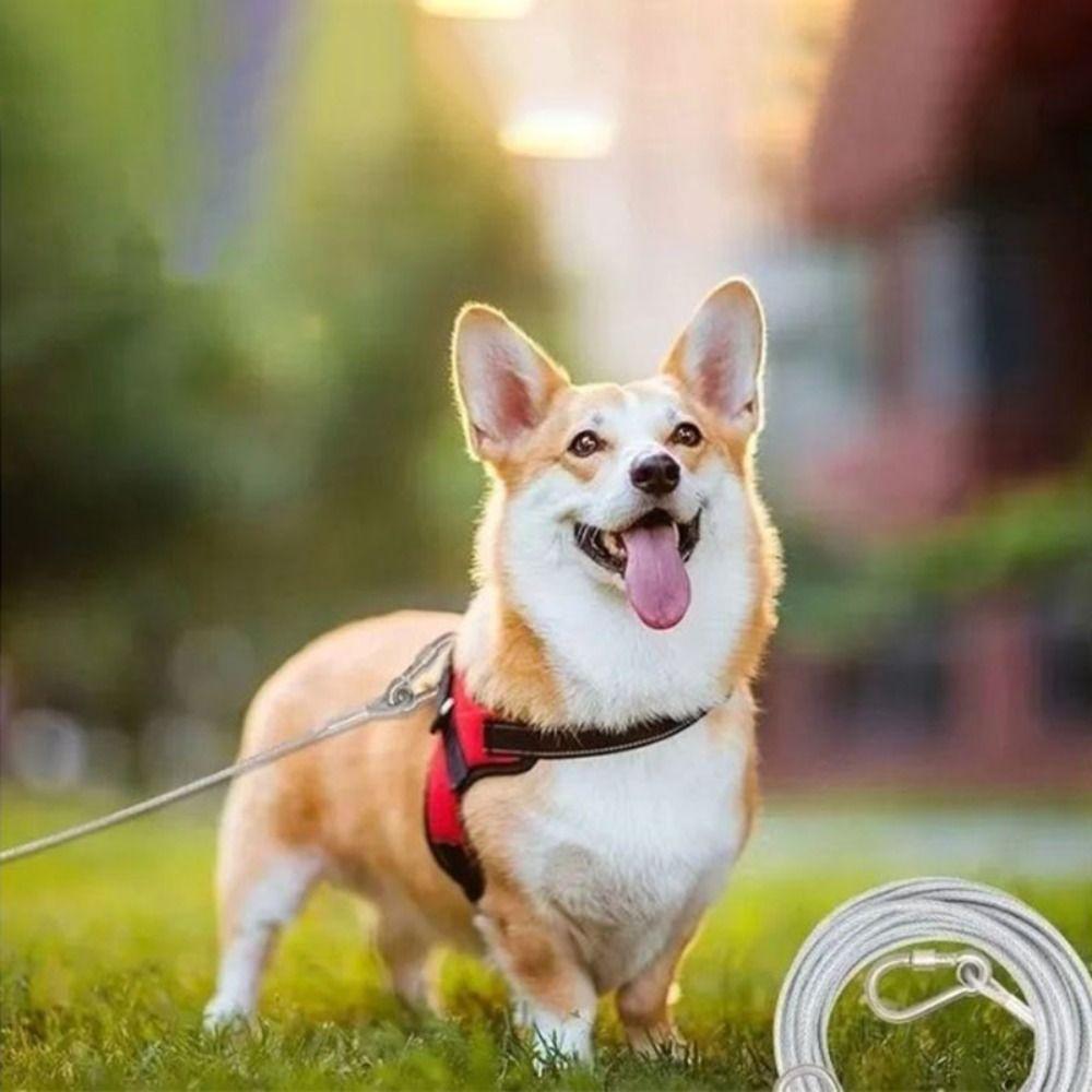 Anti-rust Dog Tie Out Cable Bite-proof Clothesline Tent Rope Dogs Strap  Walking The Dog