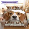Beagle Border Collie Pattern Bedding Quilt Set Quilt Cover Pillowcase Home Decoration Gift (1 * duvet cover + 2 * pillowcase, without core)