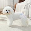 Couches jetables pour chiens mâles et femelles Animaux de compagnie Animaux de compagnie Couches d'extérieur pour chiens Culottes physiologiques pour chiens Couches pour couches