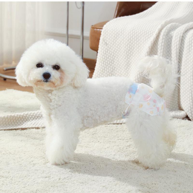 Jednorazowe pieluchy dla psów i suk Zwierzęta domowe Pieluchy dla psów na zewnątrz Majtki fizjologiczne dla psów Pieluchy dla pieluch