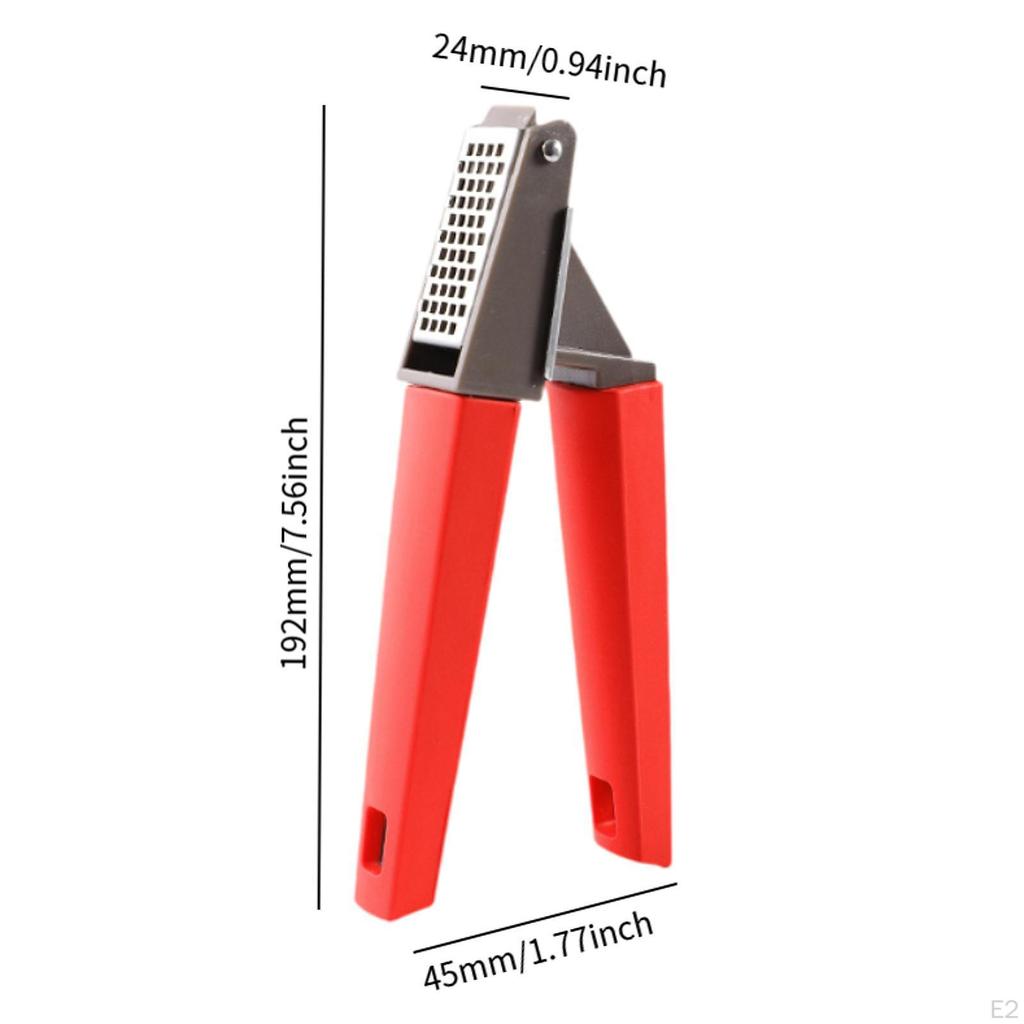 Stainless Steel Garlic Press Ginger Mincer,Household,Lightweight,Professional Portable Kitchen