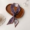 Wind Small Streamer Long Scarf Ribbon Tie Bag Versatile Decorative Headband Printed Scarf with Hand Scarf