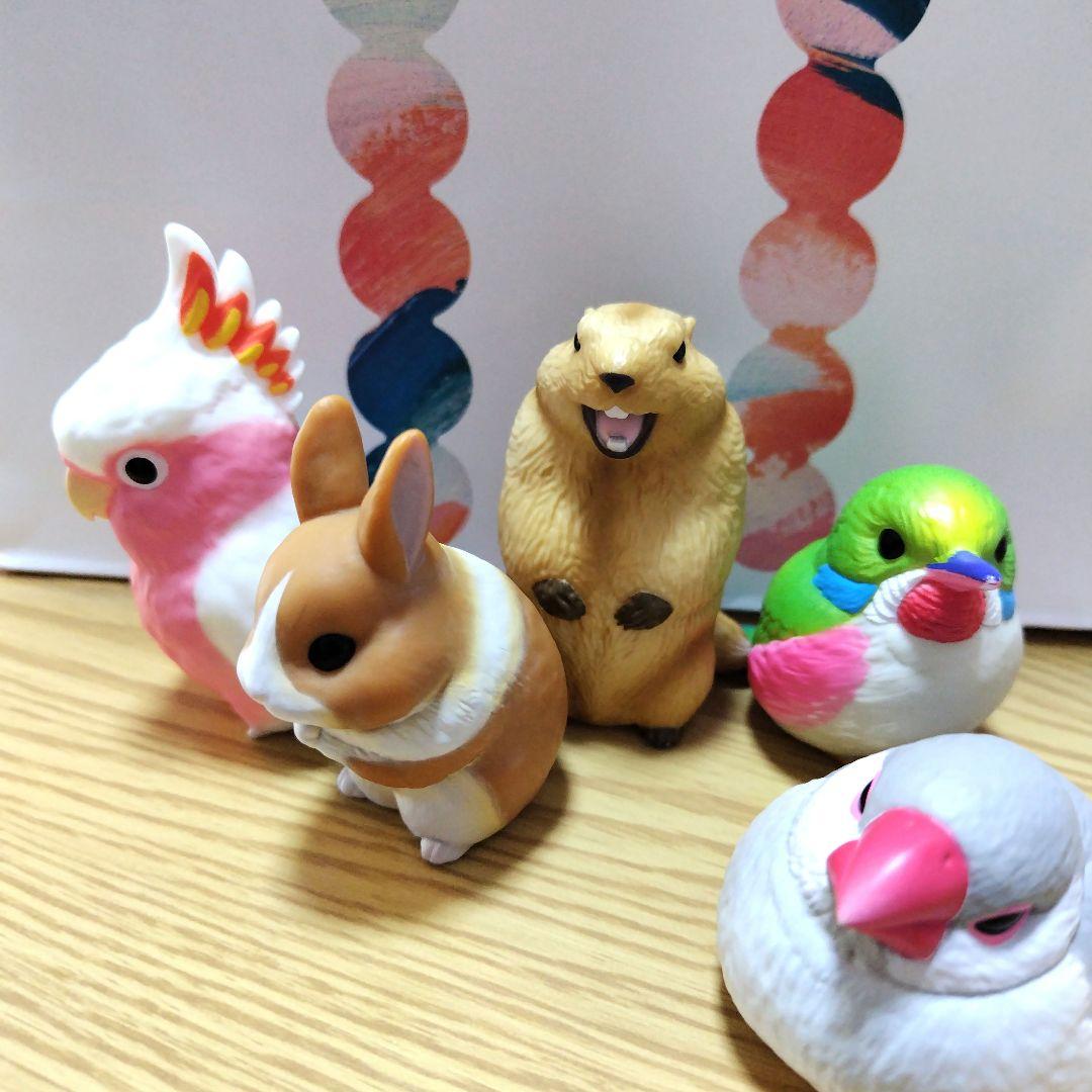 

[Б/У] Ручные Друзья Сурок Кролик Попугай Яванский Воробей Дикая Птица