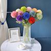 Green Onion Ball Single Stem Chrysanthemum Gift Box Bouquet and Floor Stand Accessories