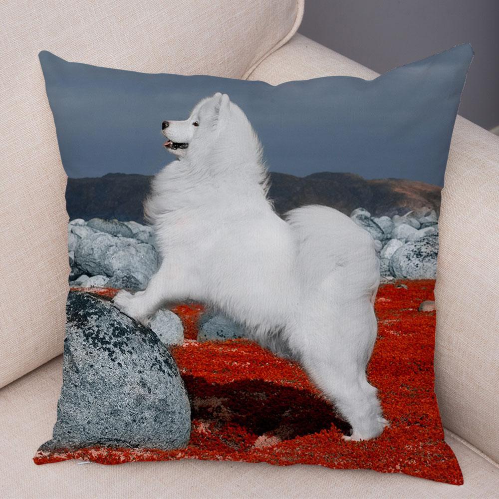 50 Stil Husă de Pernă Câine Alb Drăguț Samoyed Decor Husă de Pernă Animal de Companie Iubitor Husă de Pernă Moale de Pluș pentru Canapé Cameră Copii