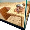 Hermit Crab Tank Tunnel Under Gravel Hermit Crab Cave Corner with Climbing Tunnel Safe Habitat Climbing Toy Tunnel for Pet Crab Fish Tank Aquarium